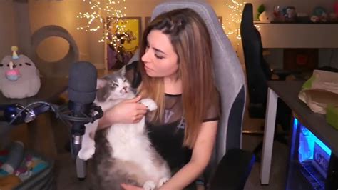 alinity cat|Twitch Streamer Apologizes for Throwing Cat